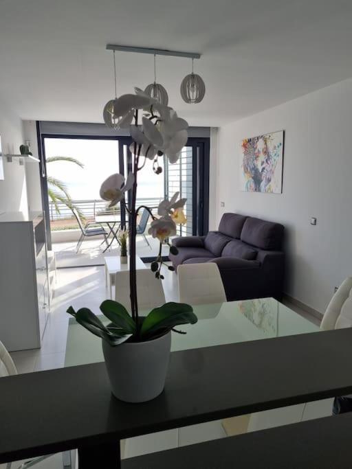 With Magnificent Seeview And Luxury Apartamento